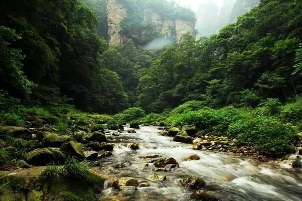 SDA圣经注释官方版下载游戏画面